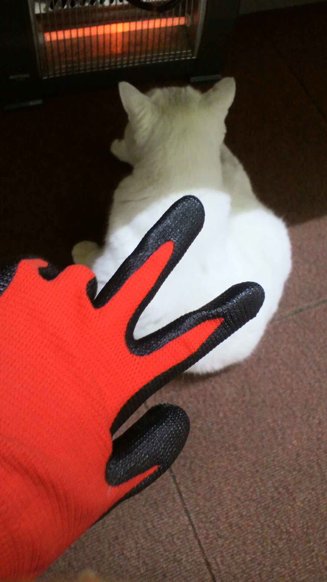 グローブともも♪