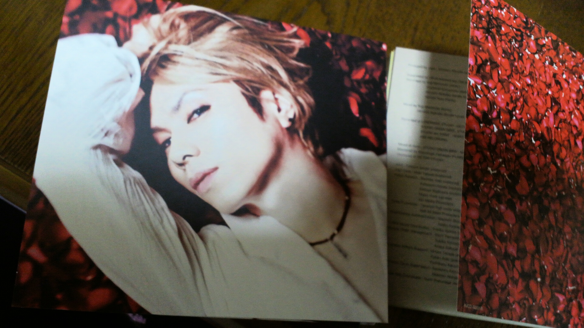 お気に入り♪