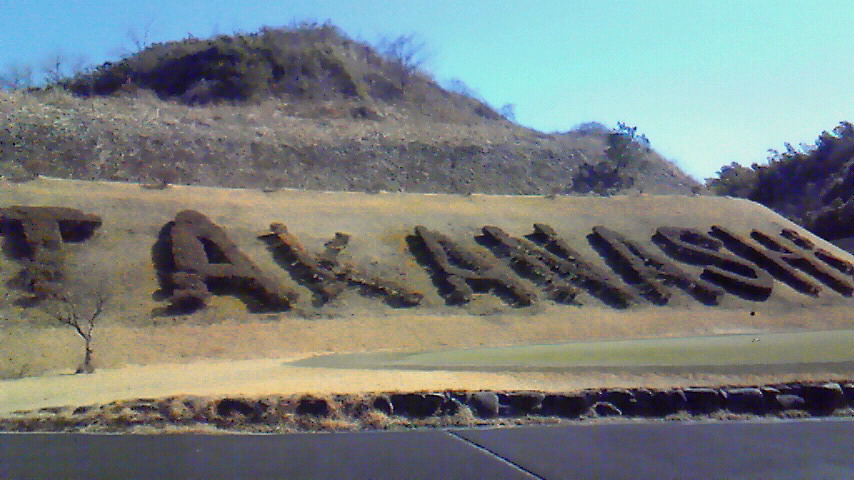 行ってきました♪