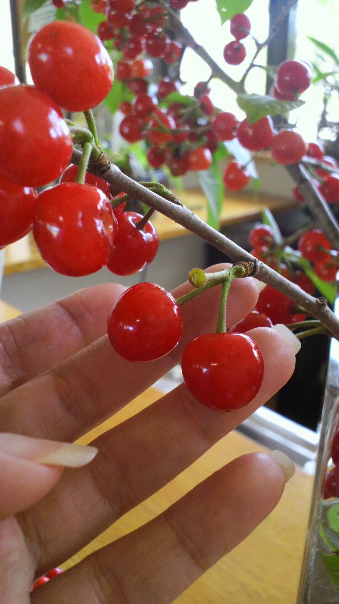 ＊Cherry＊