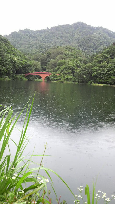 〜雨の碓氷湖〜