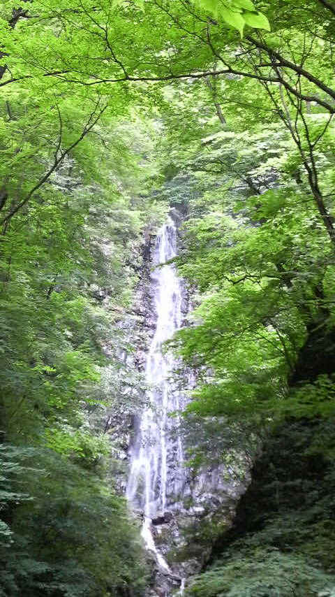 夏の疲れが…