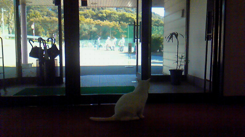もも観戦中