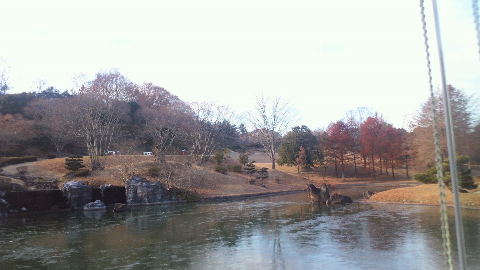 センチュリーの池が凍ってた！