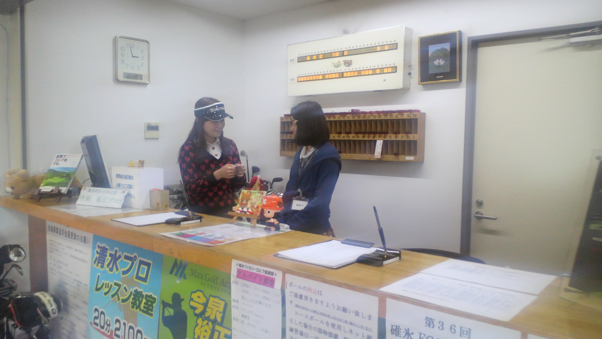 ニューフェイス