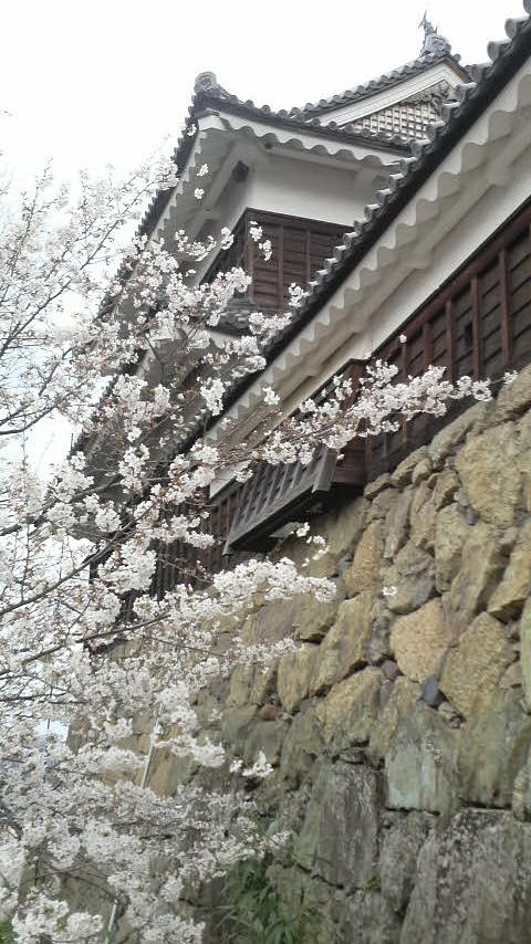 入学おめでとう!!