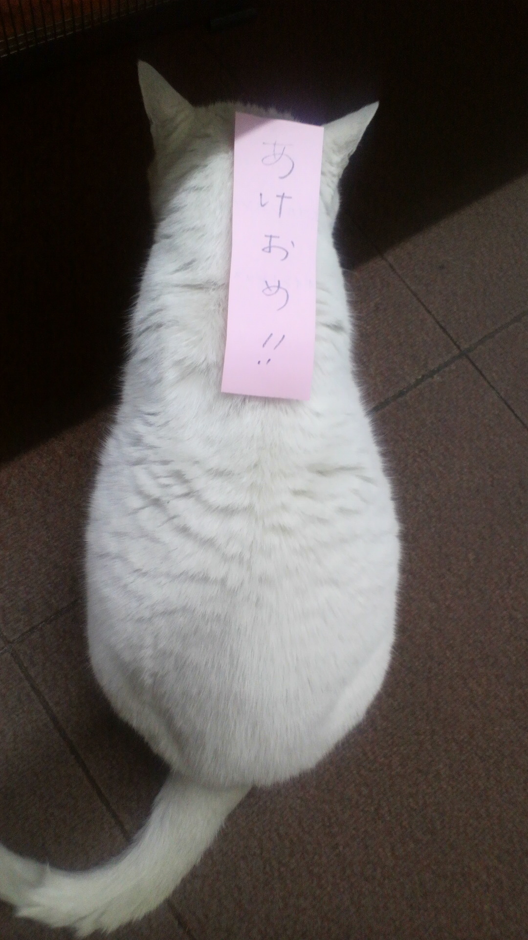 ～新春～