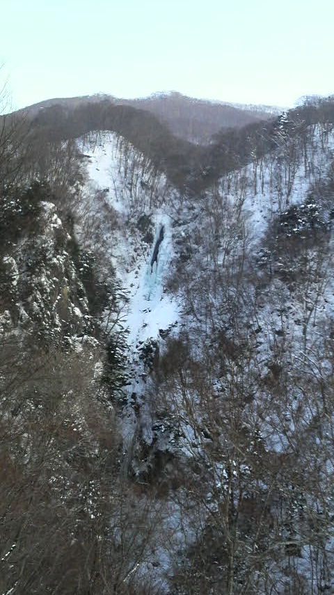 今日は穏やかな一日です♪