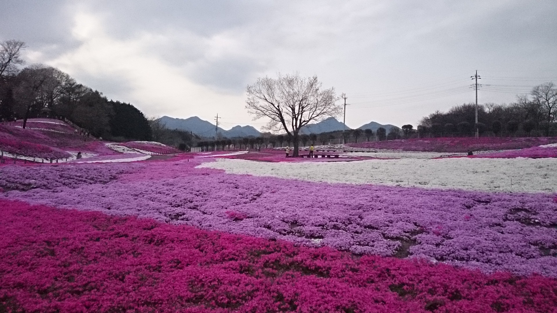 久々のポカポカ陽気