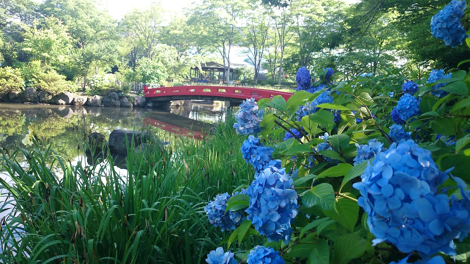 今日から７月…