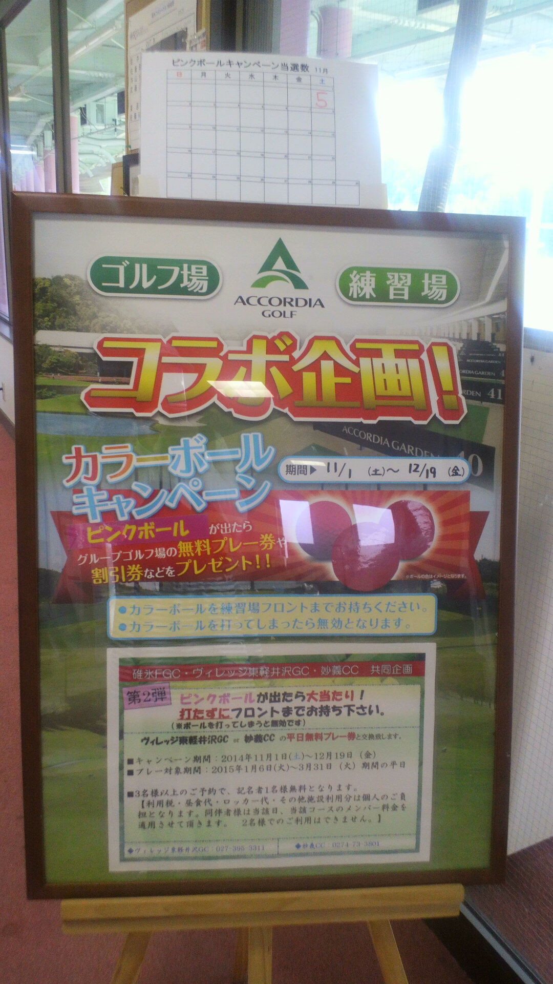 ピンクピンク