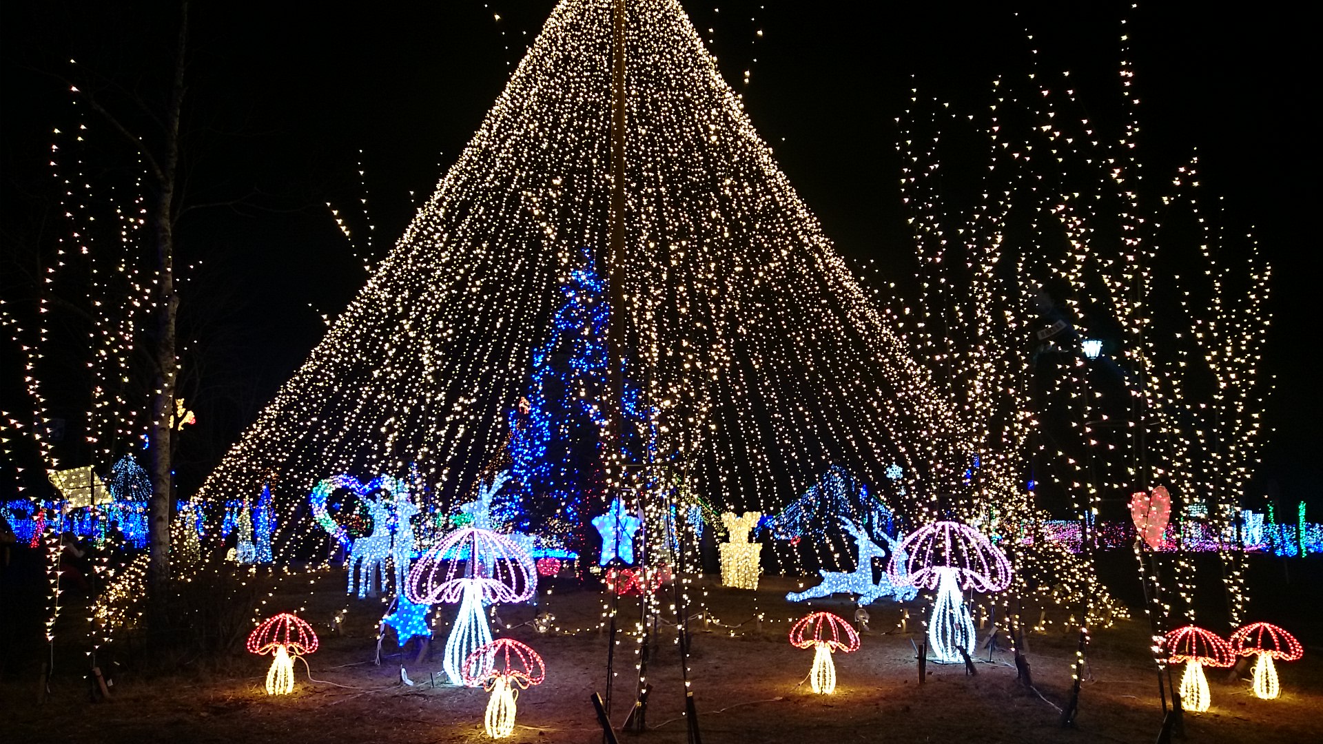 もうすぐ クリスマス
