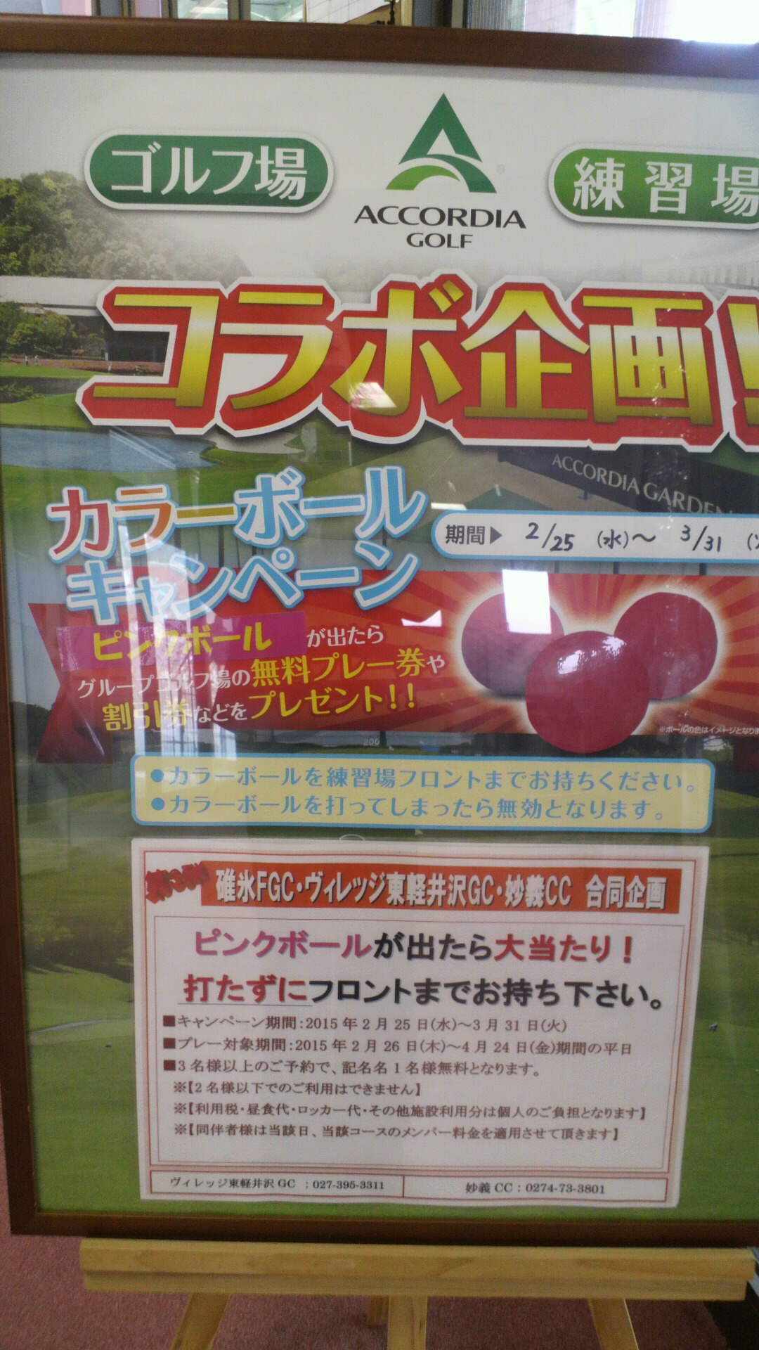 碓ファミ×ヴィレッジ×妙義
