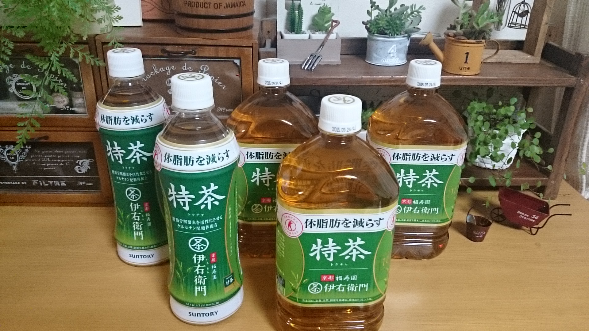 春本番の暖かさ…