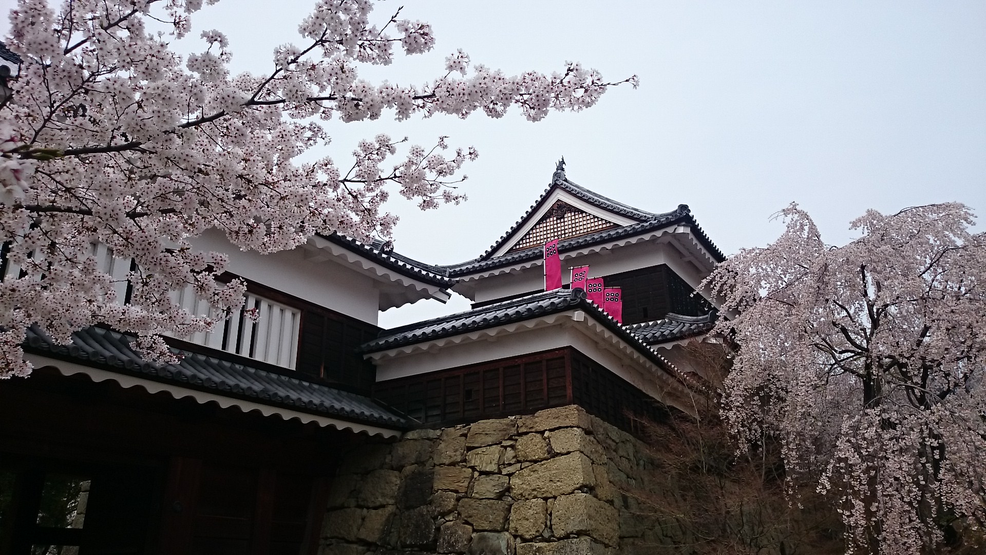 花より団子‼