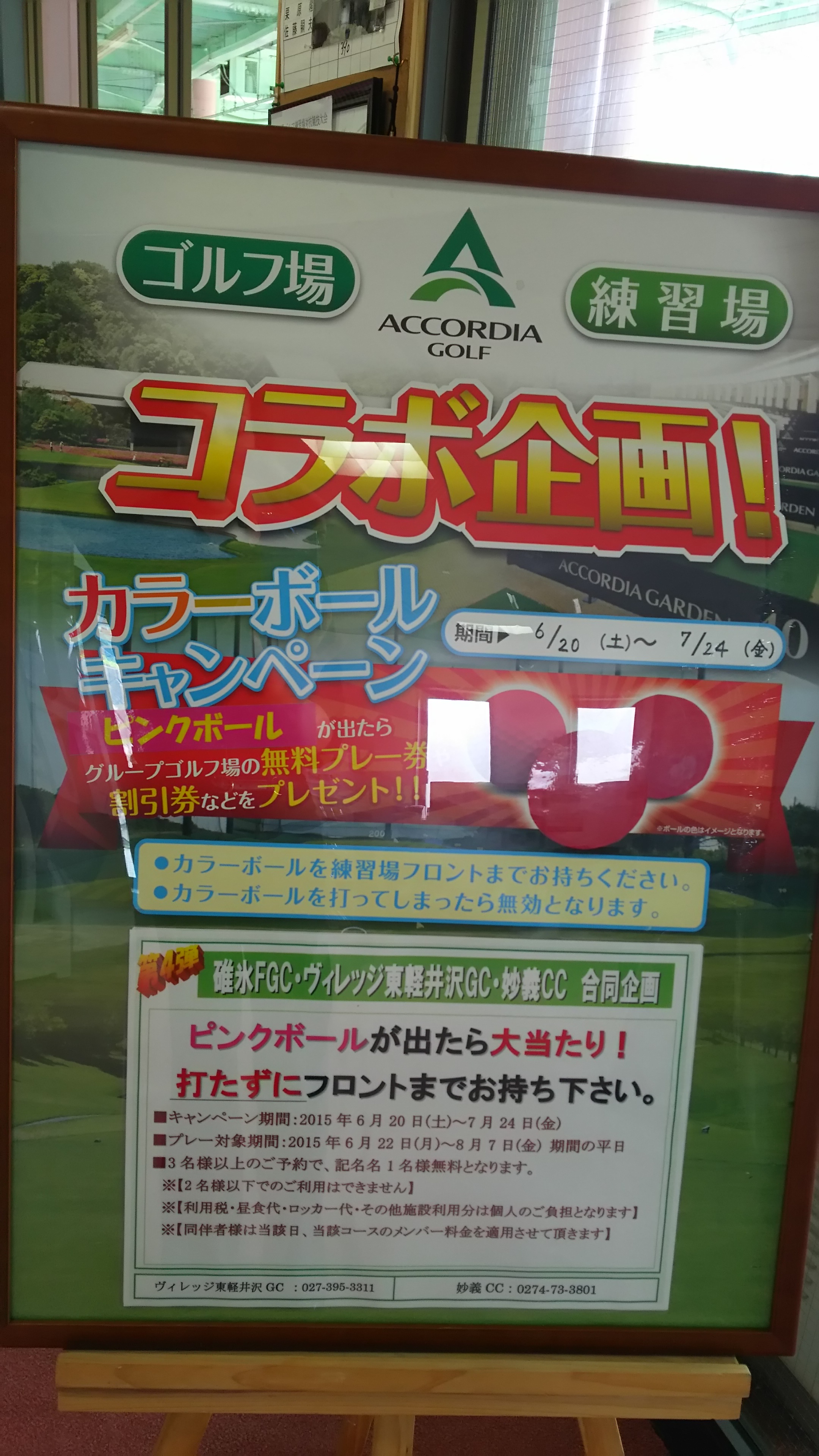 ピンクボールキャンペーン第４弾
