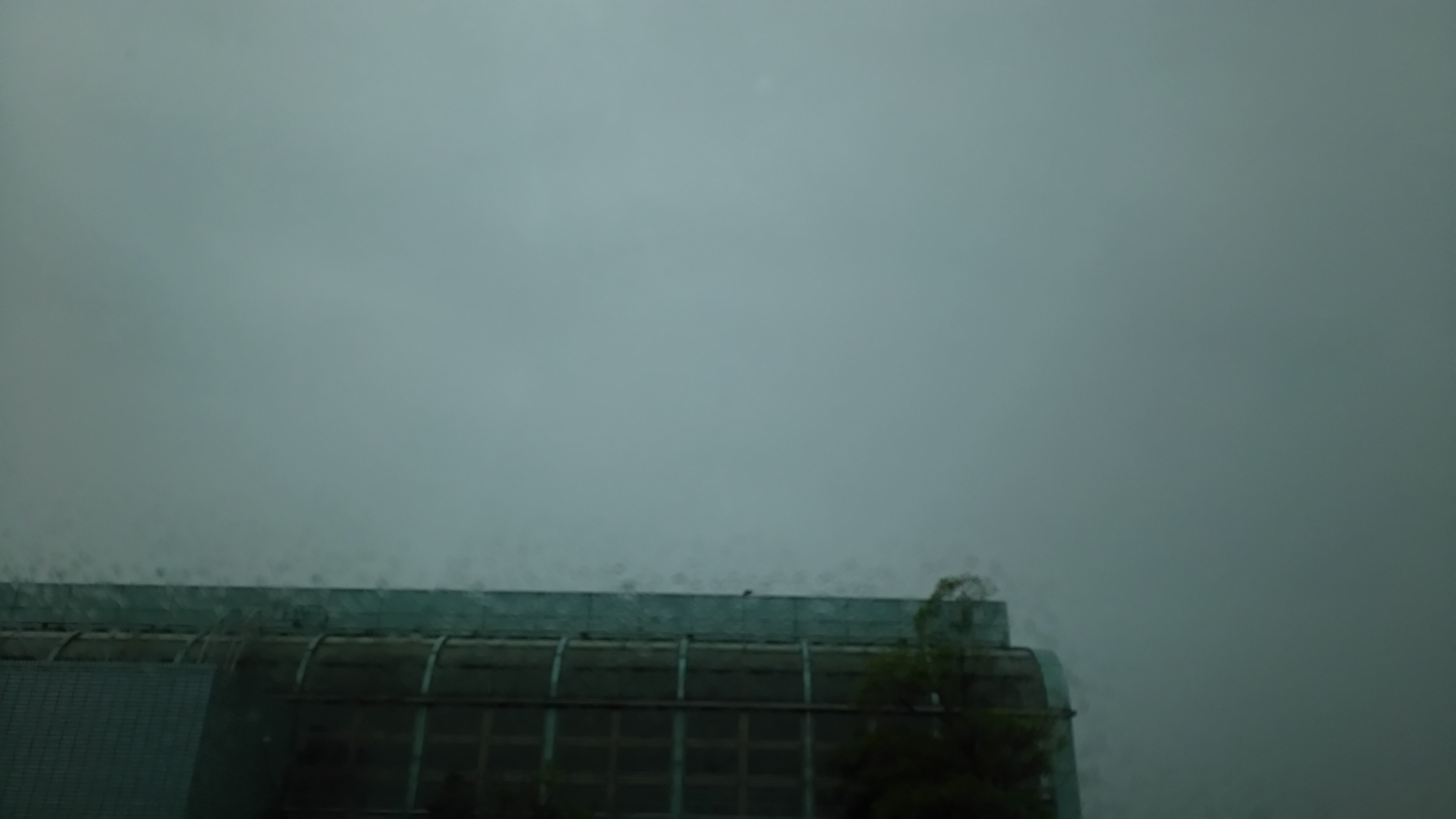 雨