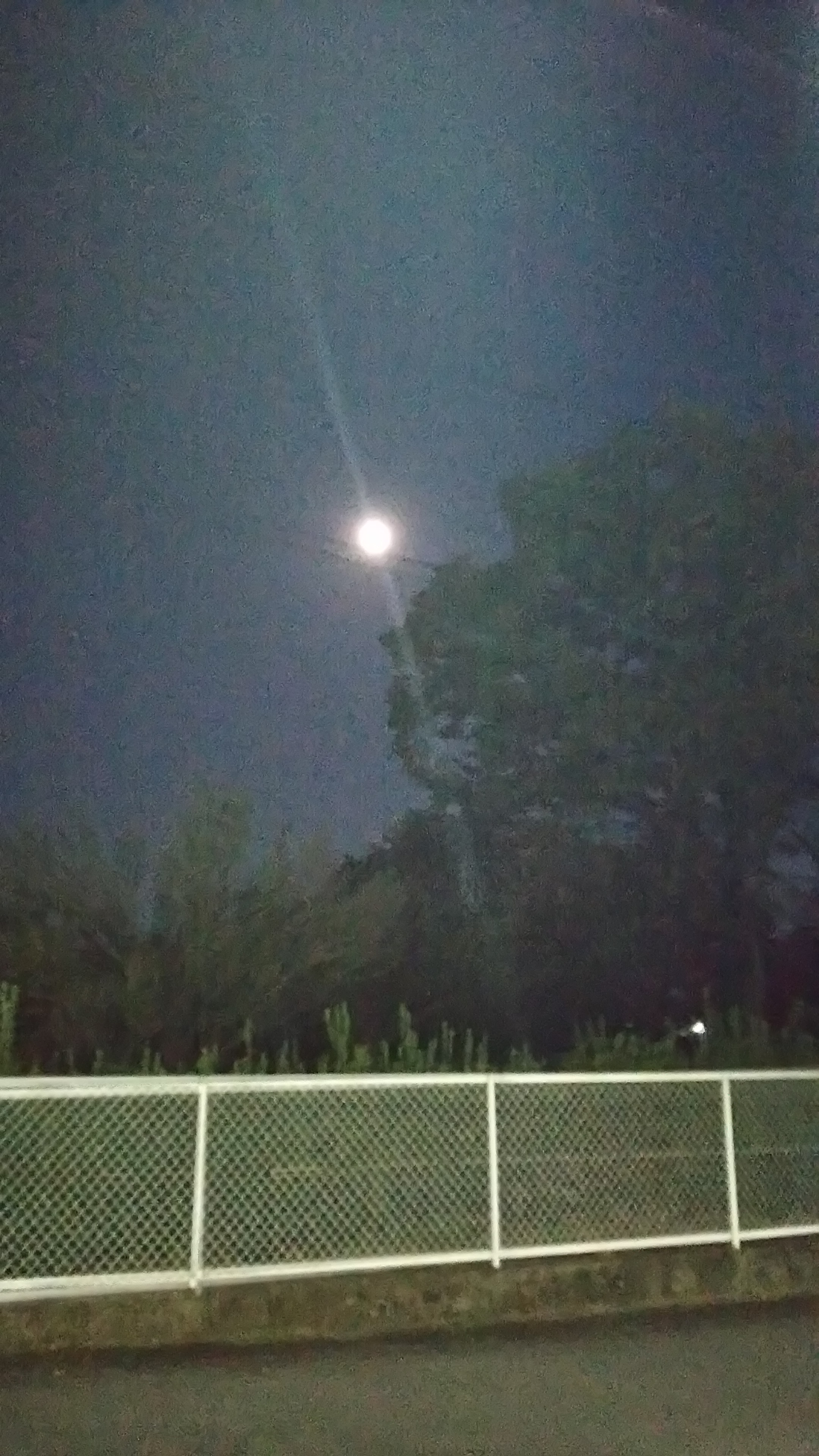 十三夜