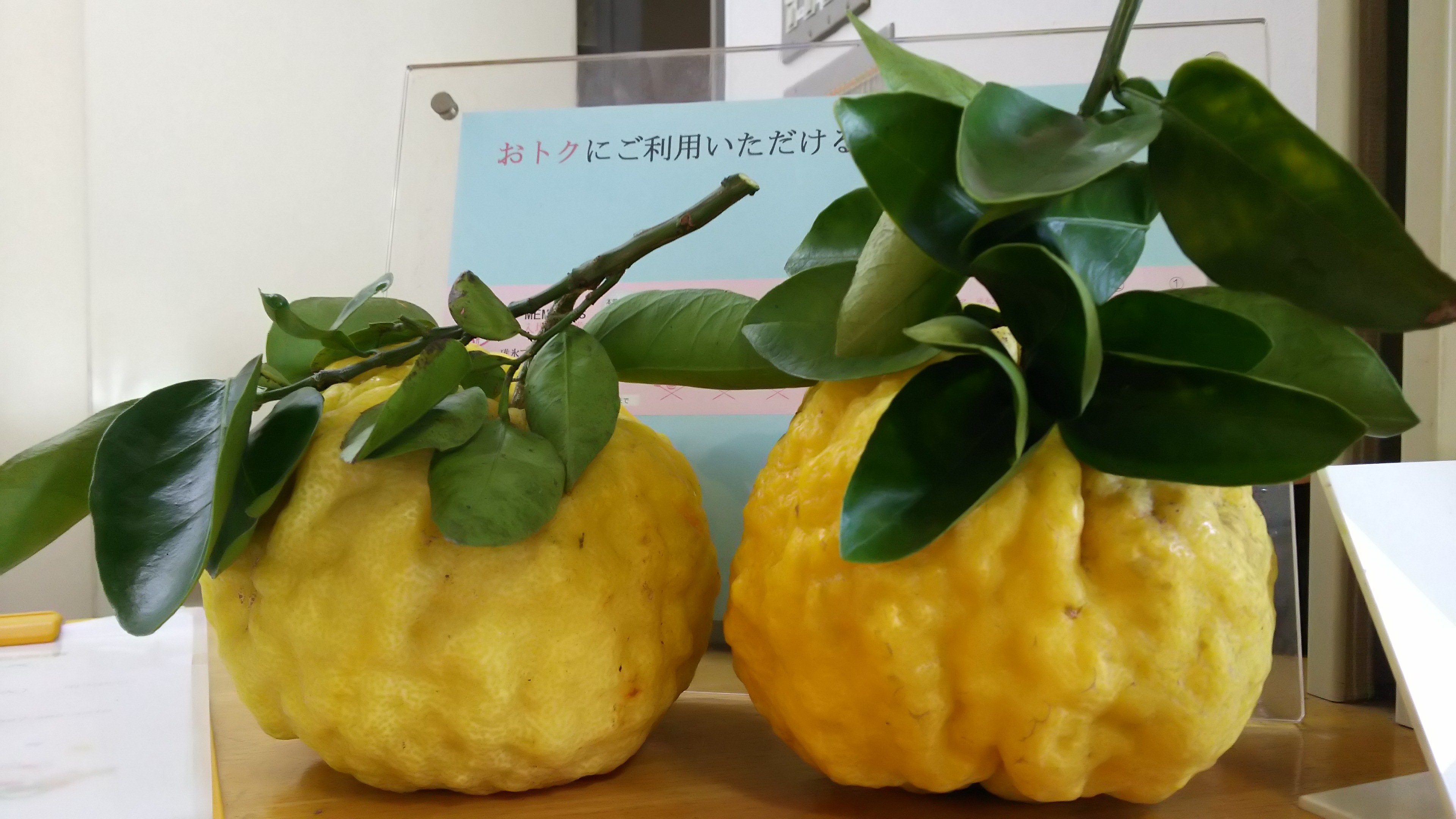 おに柚子