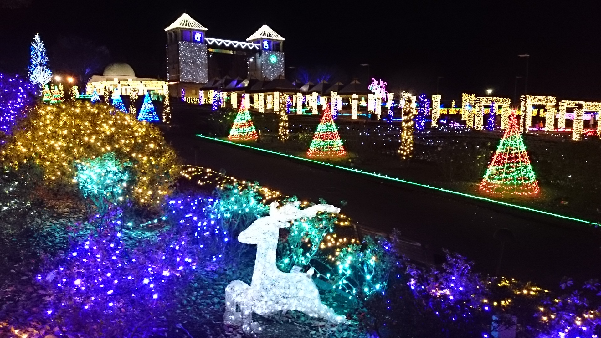 ILLUMINATION♪♪