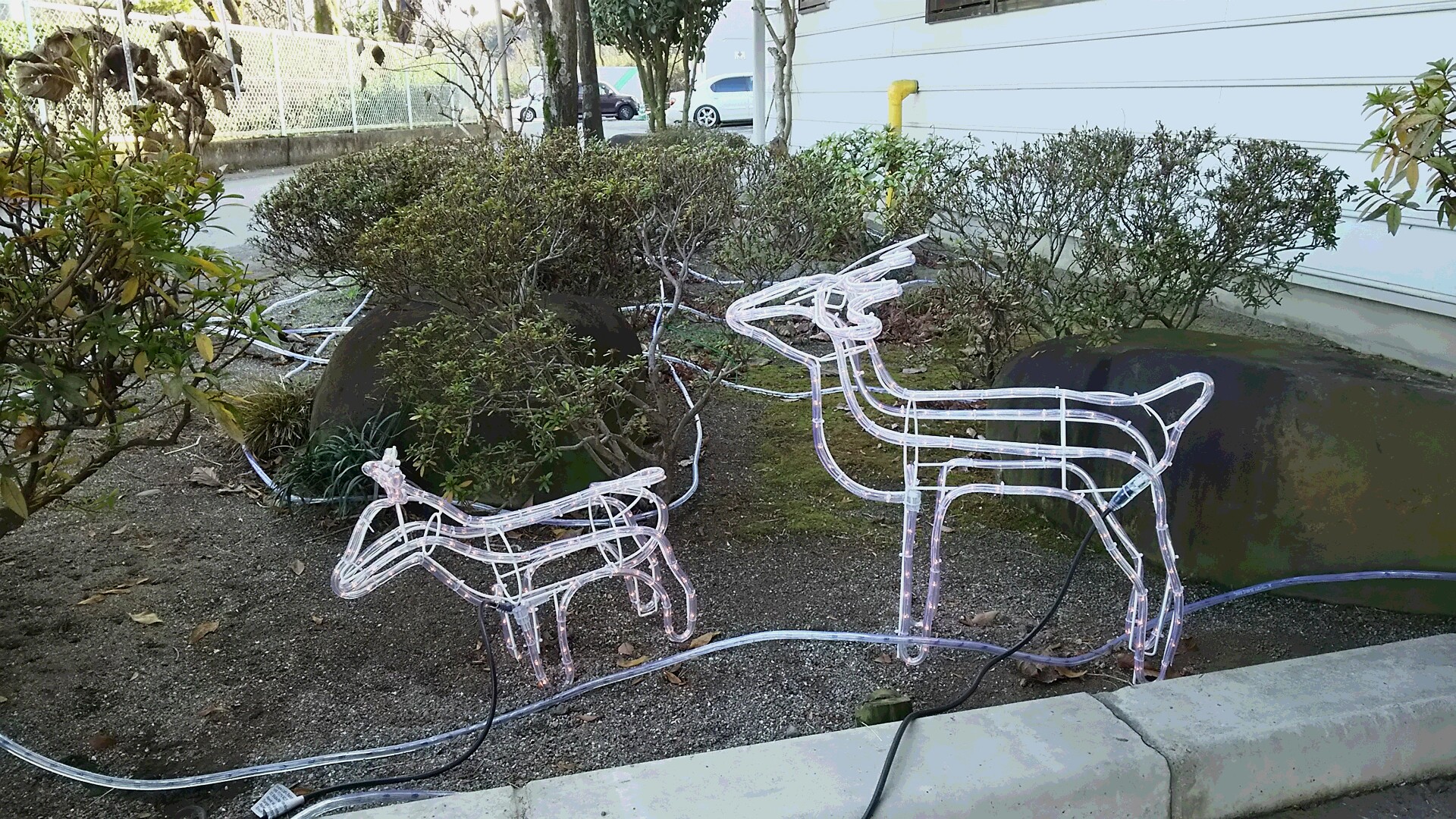 クリスマスイヴ