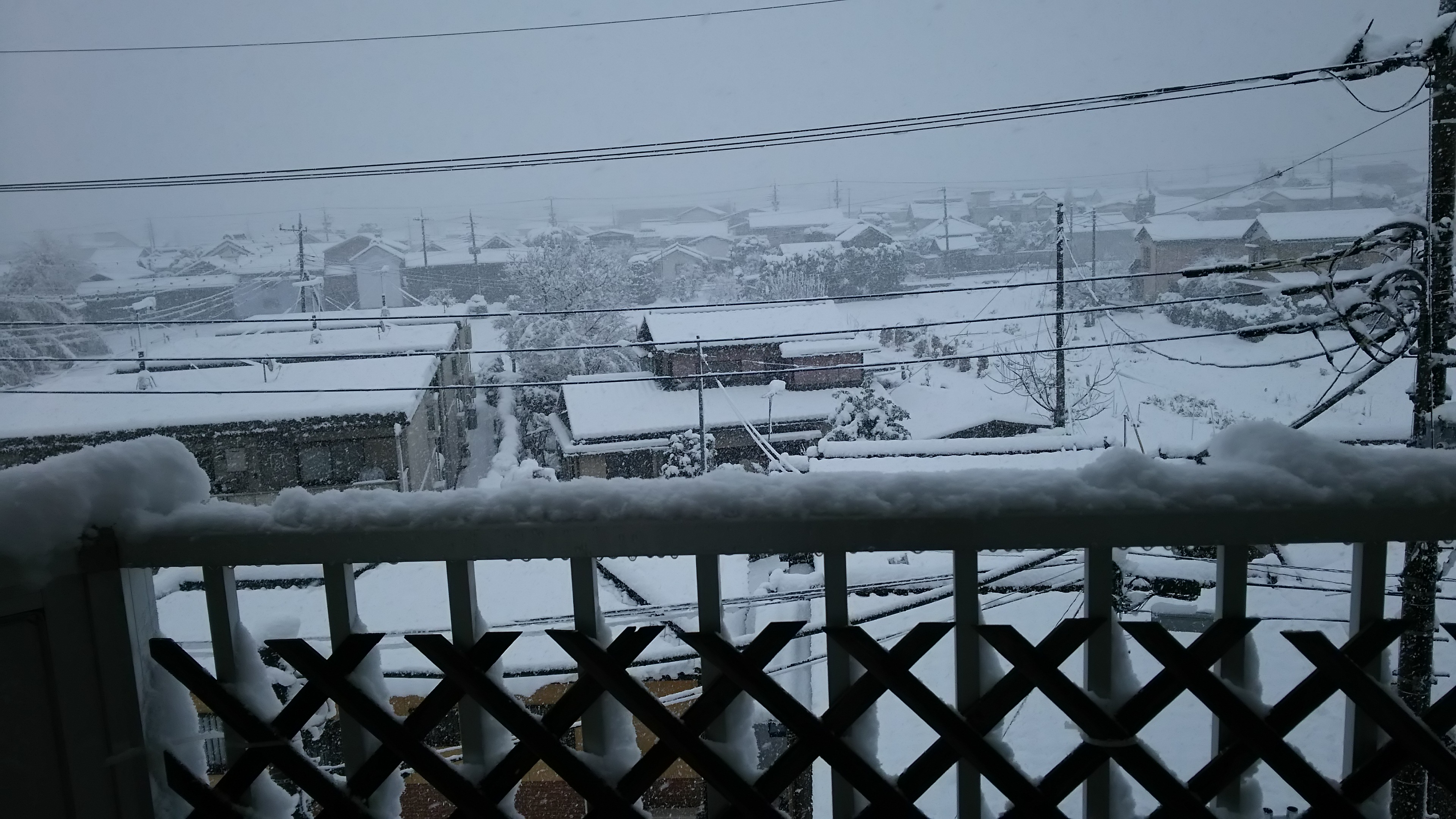 18日(月)はお休みいたします