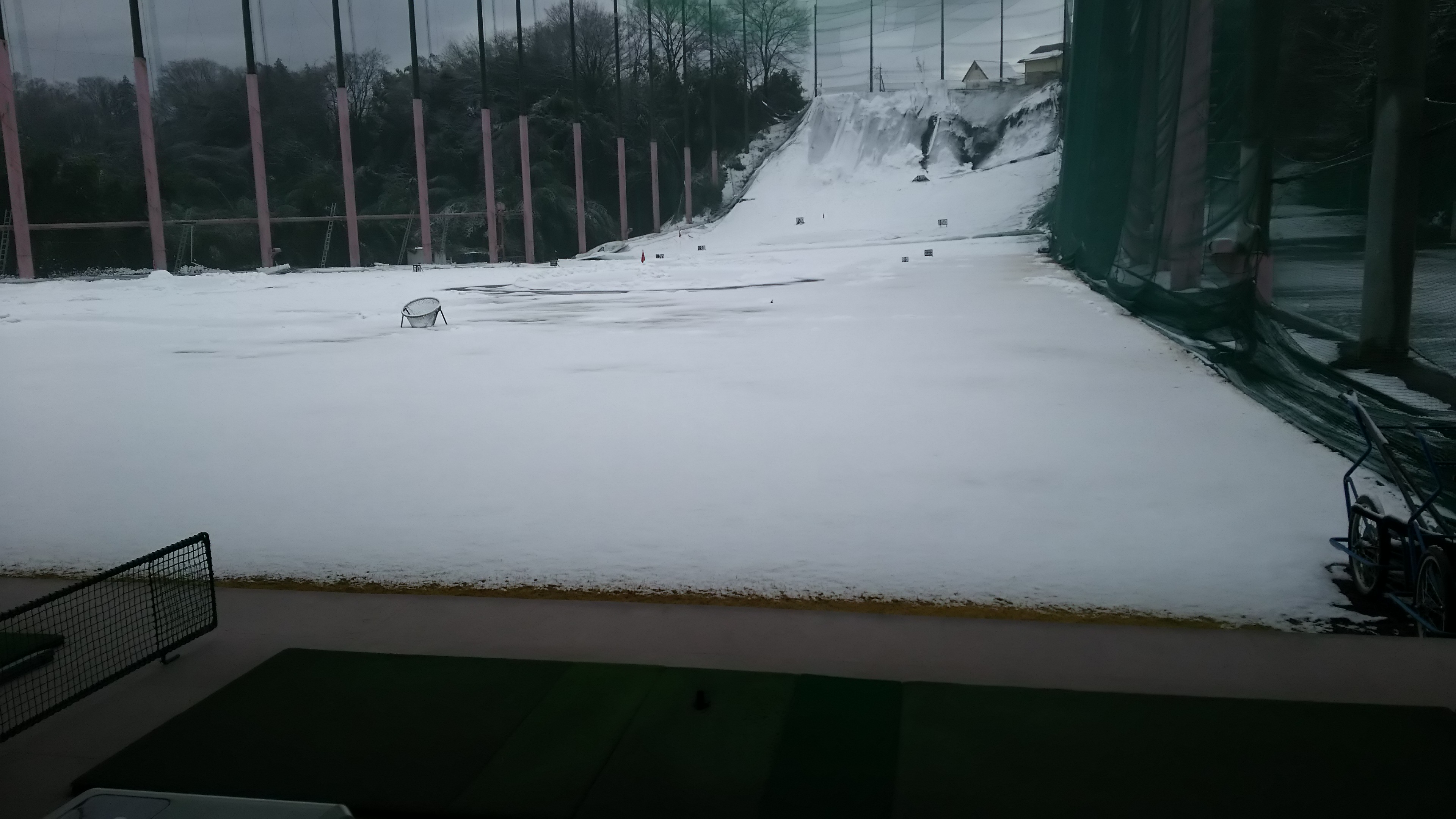本日の営業見合わせております