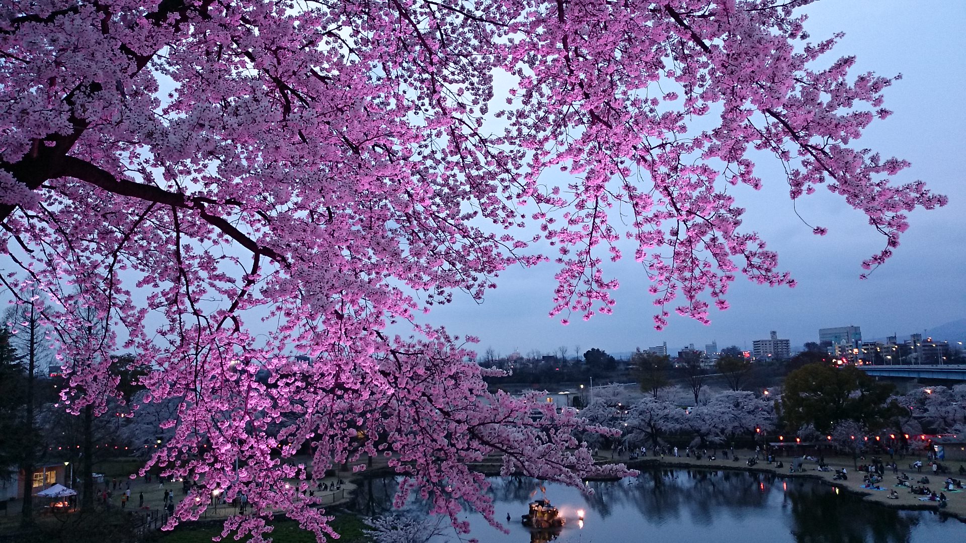 花冷え…