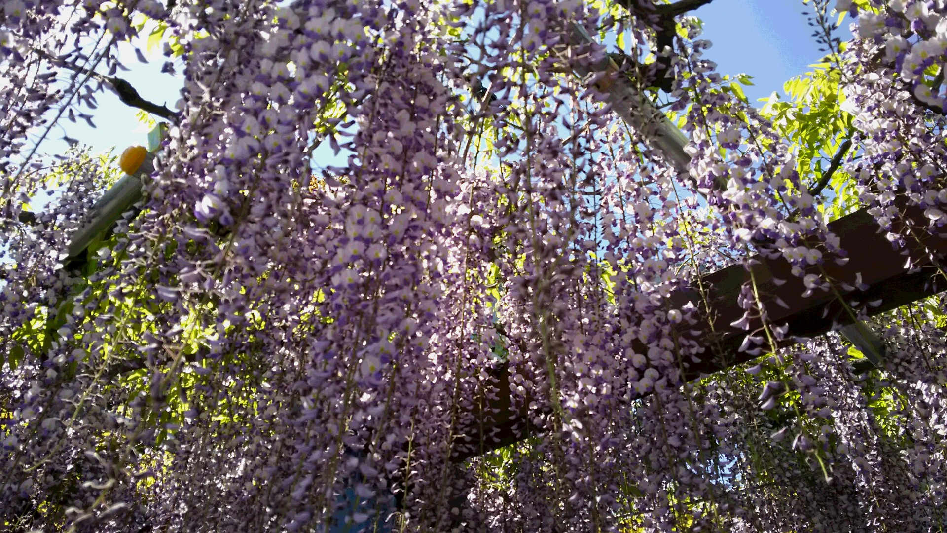 ４月30日