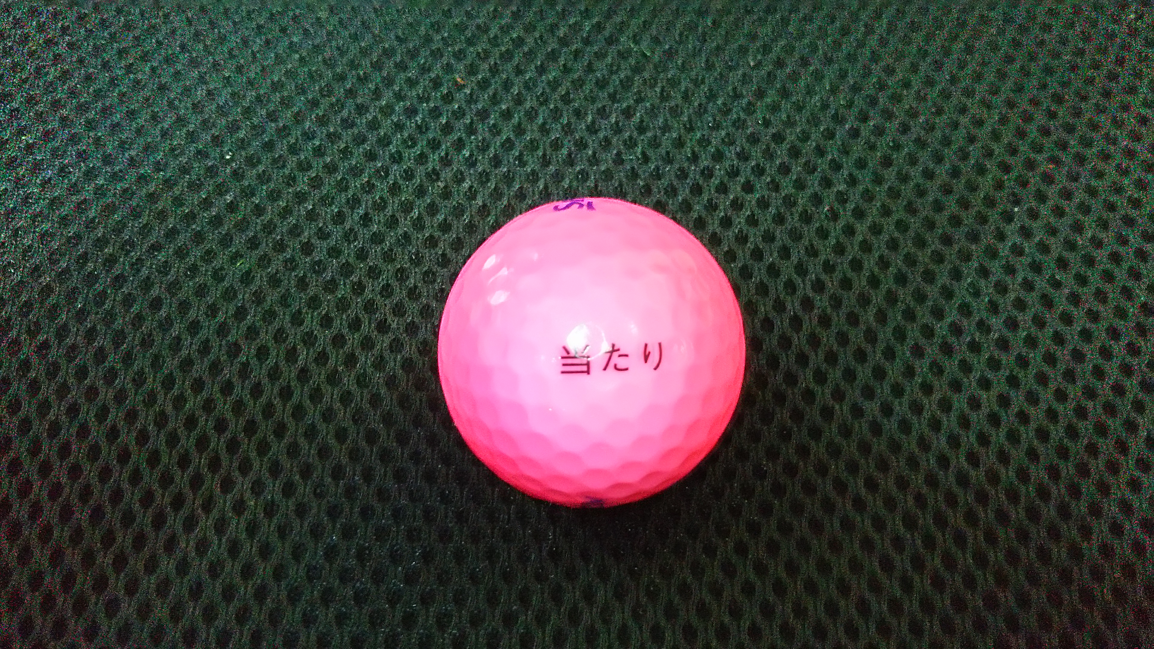 スタート！