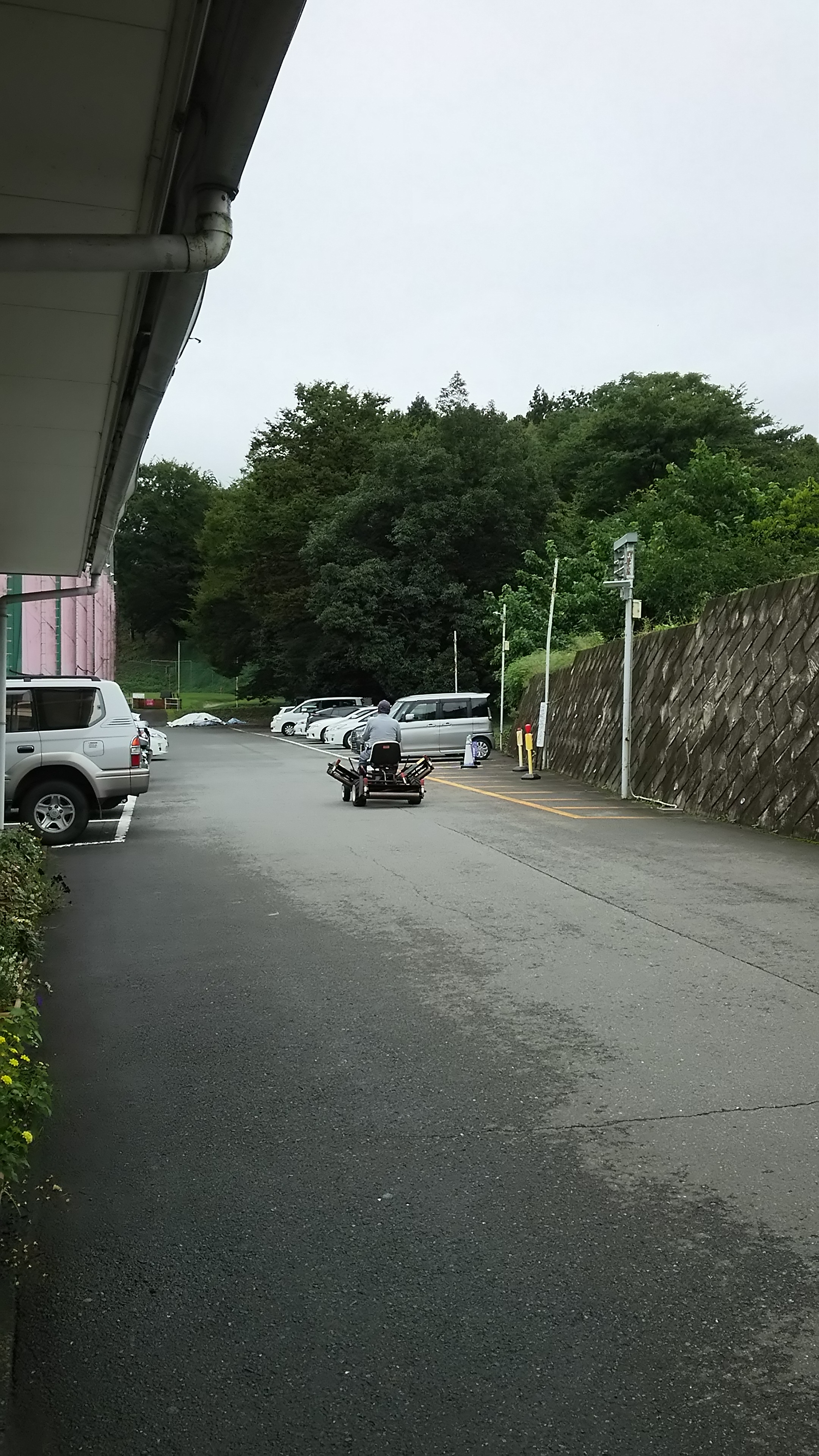 じぃさんは芝刈に…