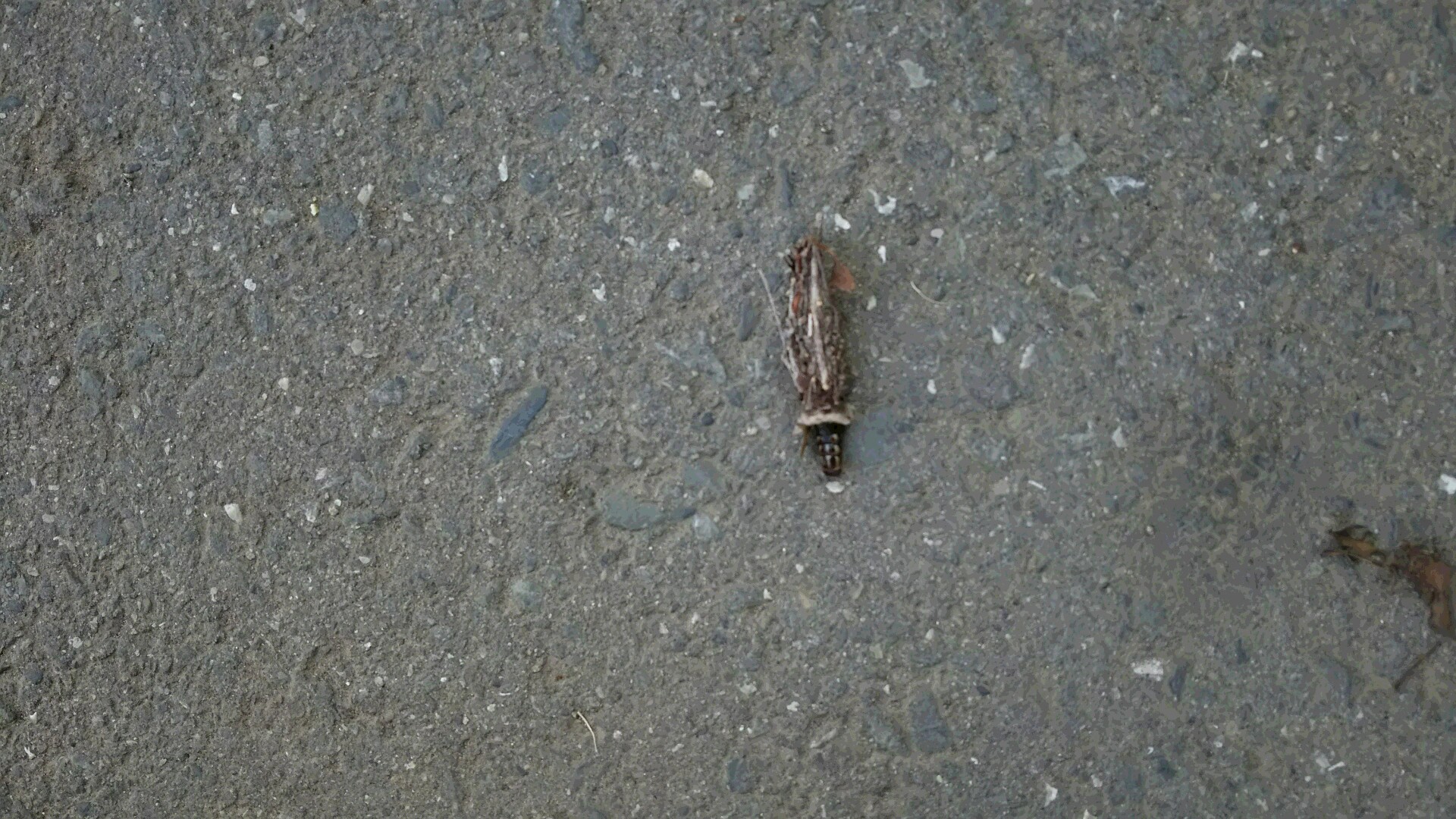 移動中