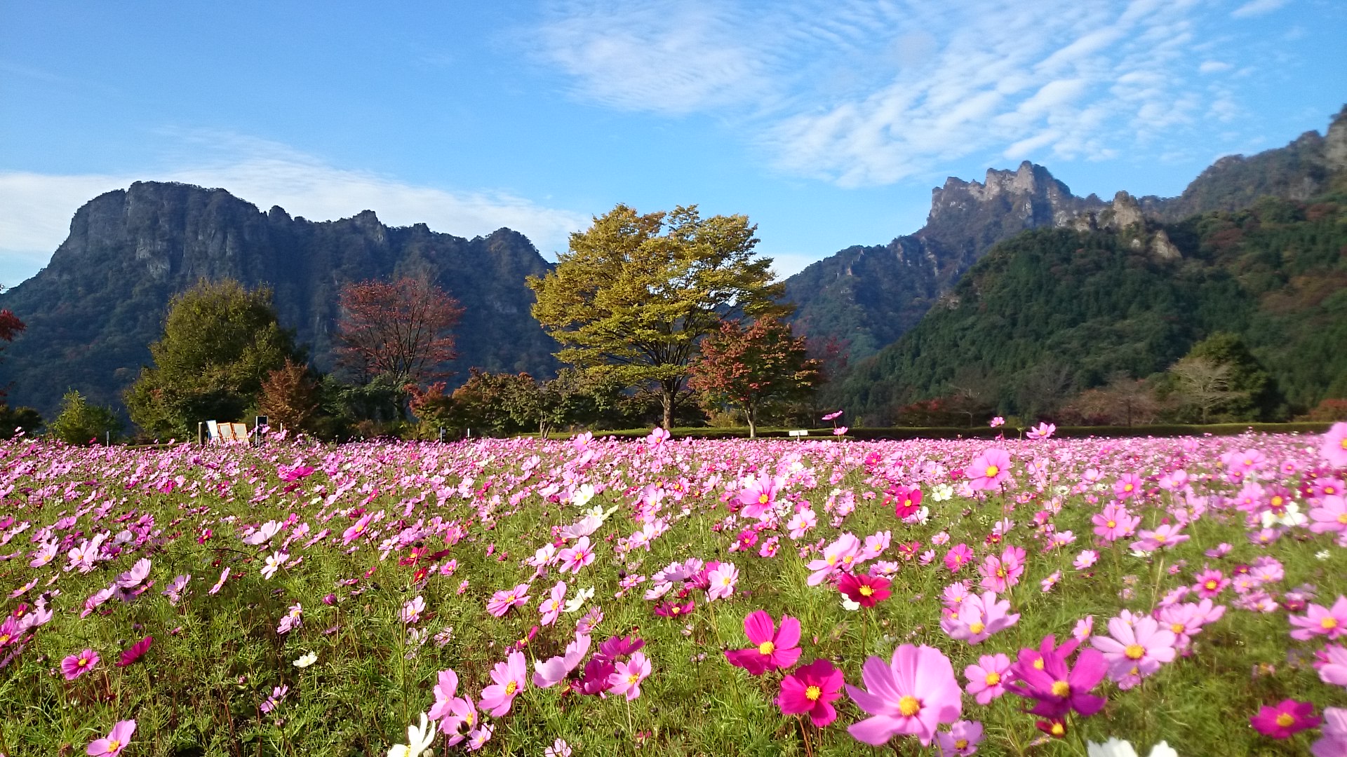 今日から１１月…