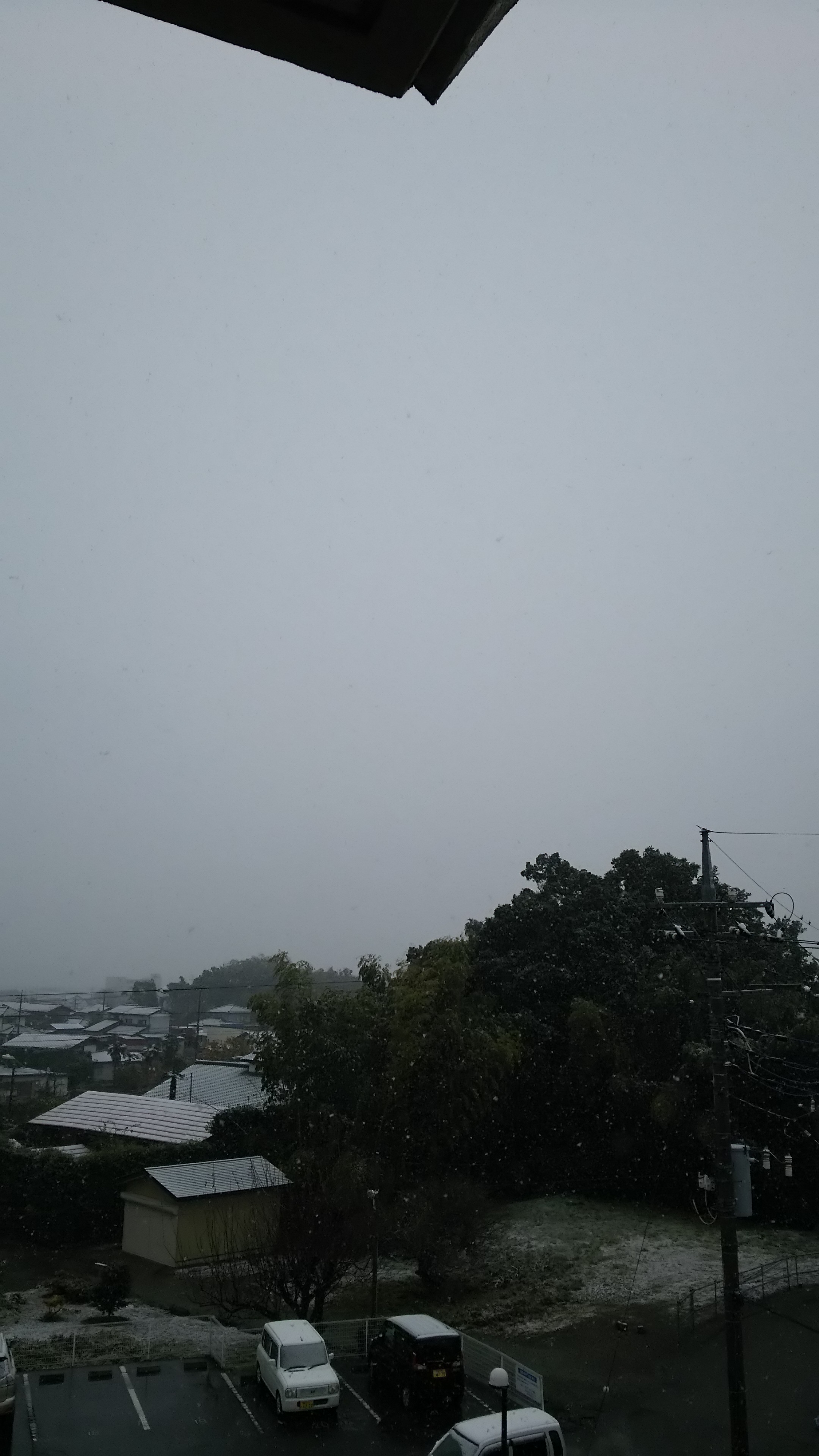 初雪