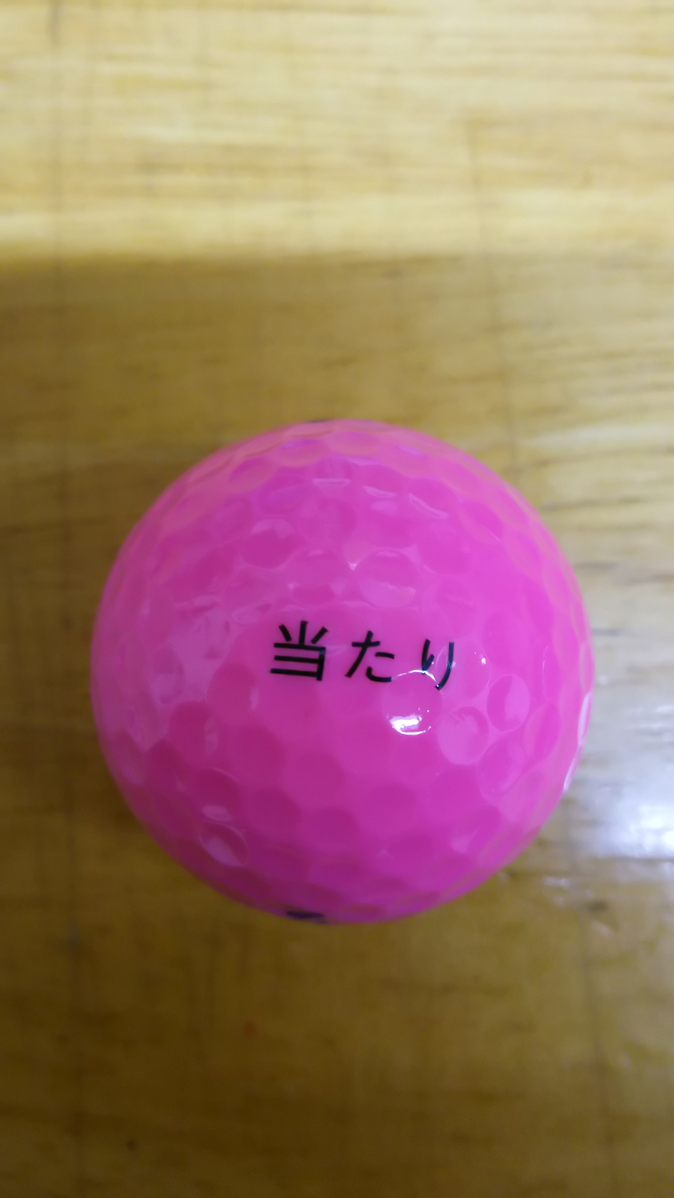 明日は月例