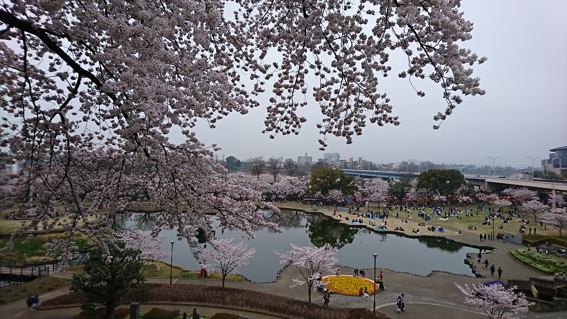 前橋公園♪♪