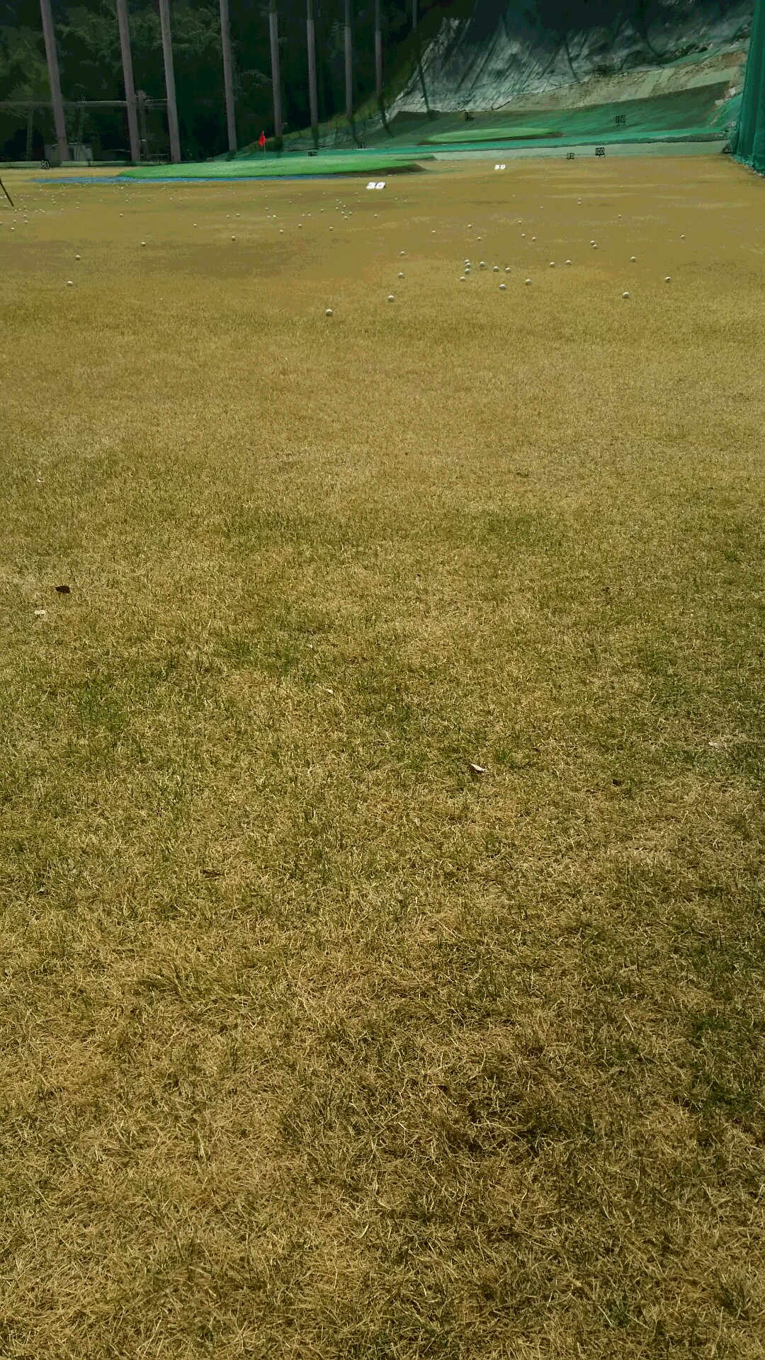 月例