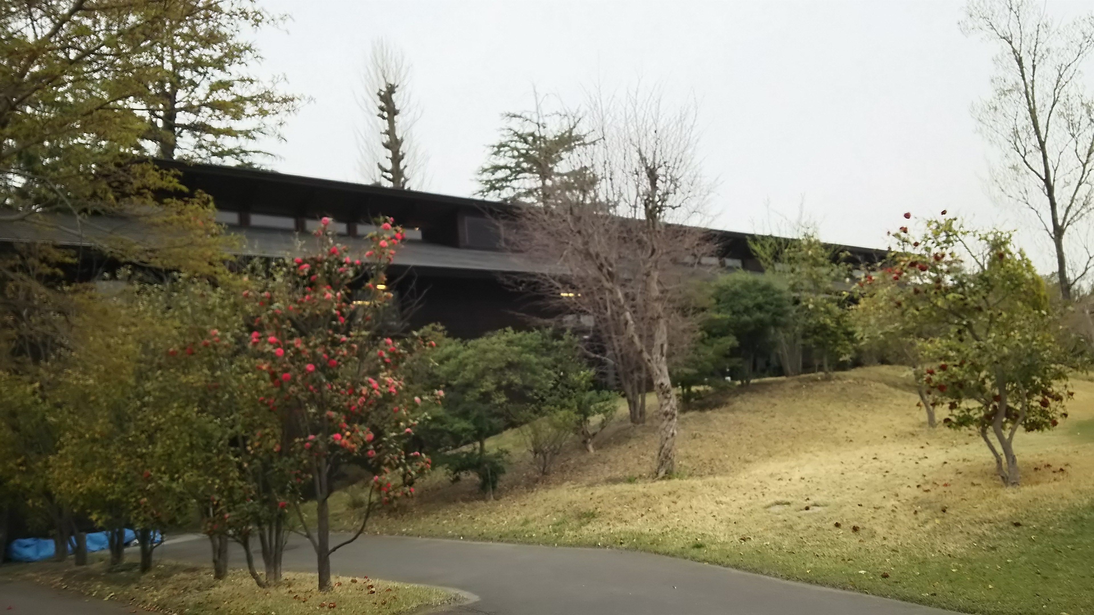 第７６回親睦月例結果発表
