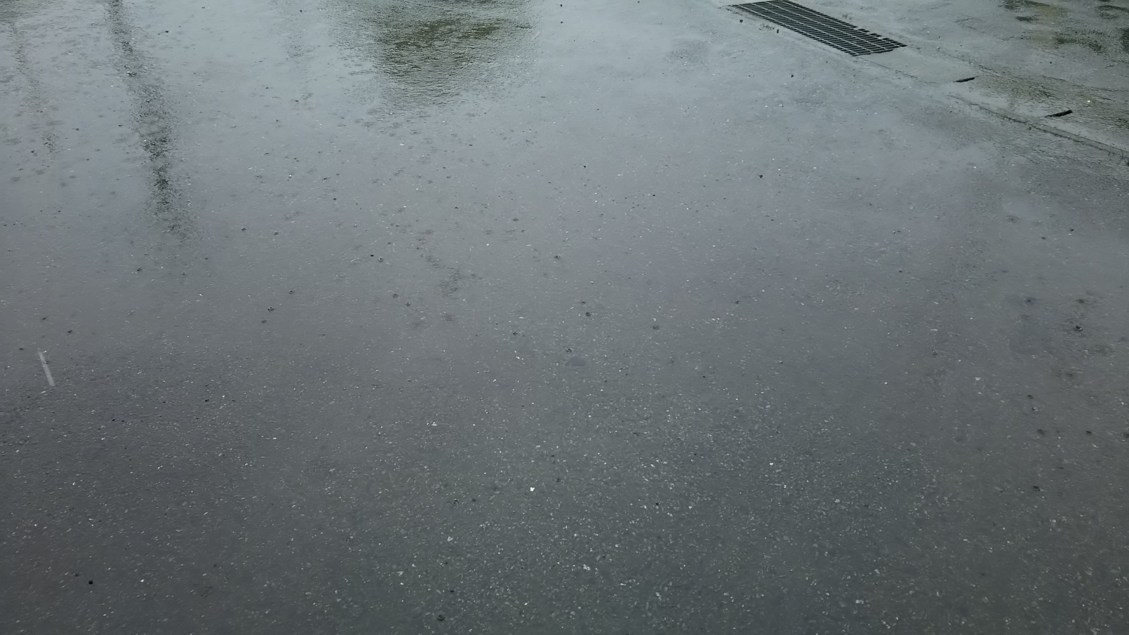 雨