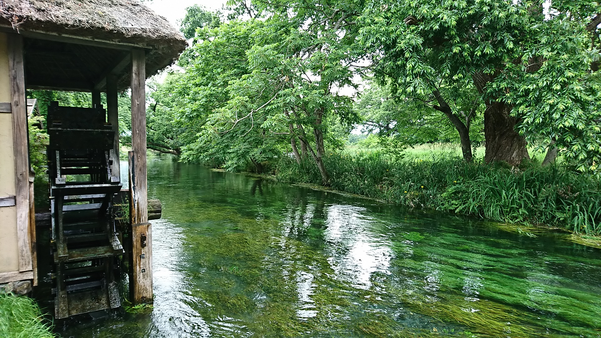 水車小屋♪♪