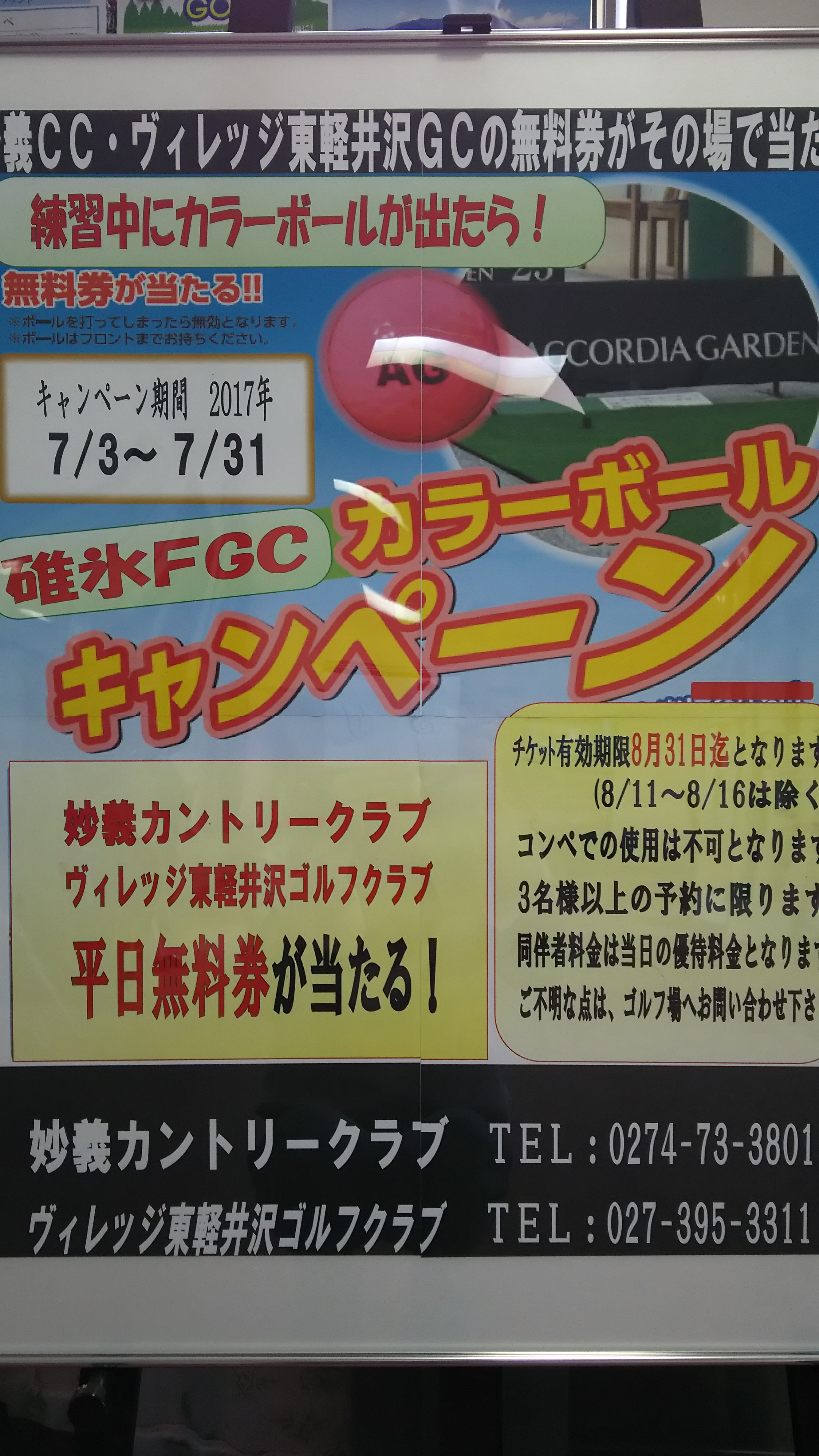 ピンクボールキャンペーン