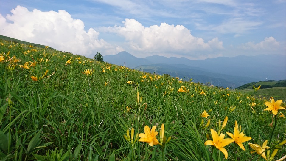 霧ヶ峰♪♪