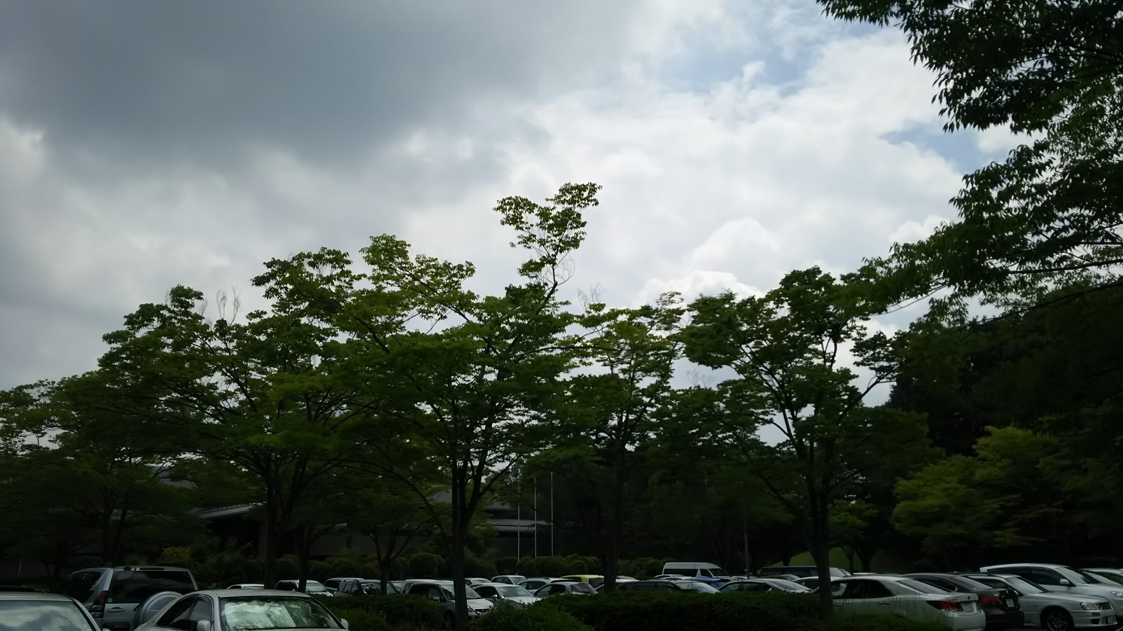 月例結果発表