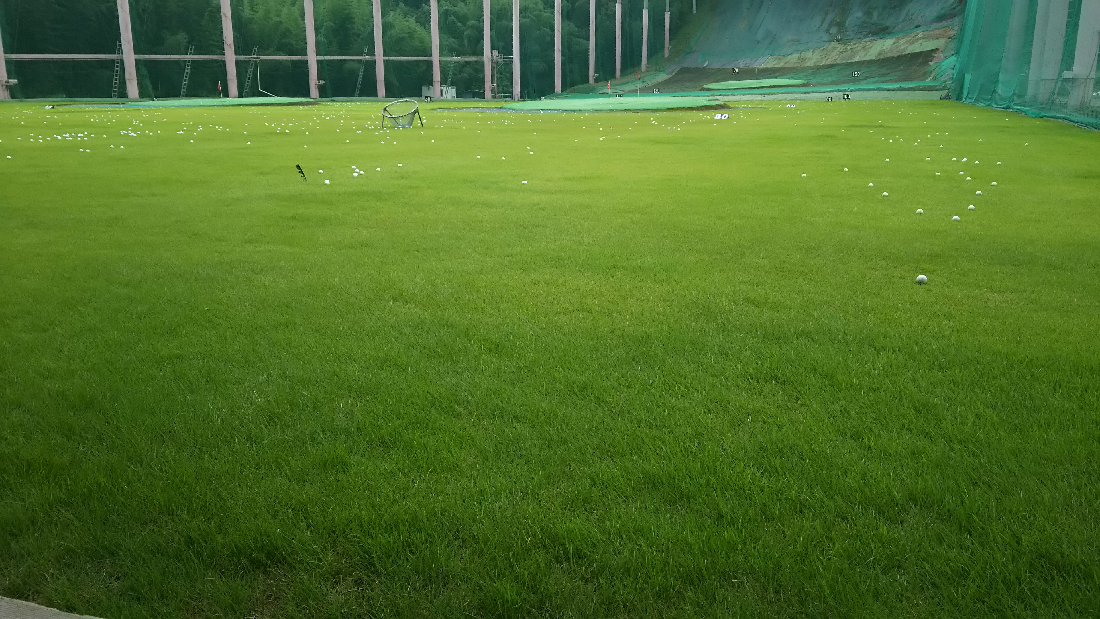 県アマ決勝
