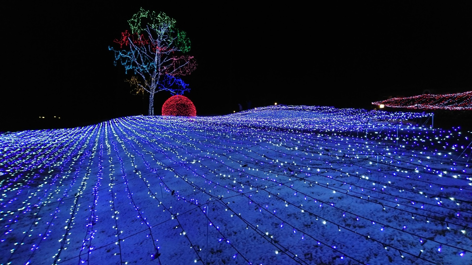クリスマスも終わって…