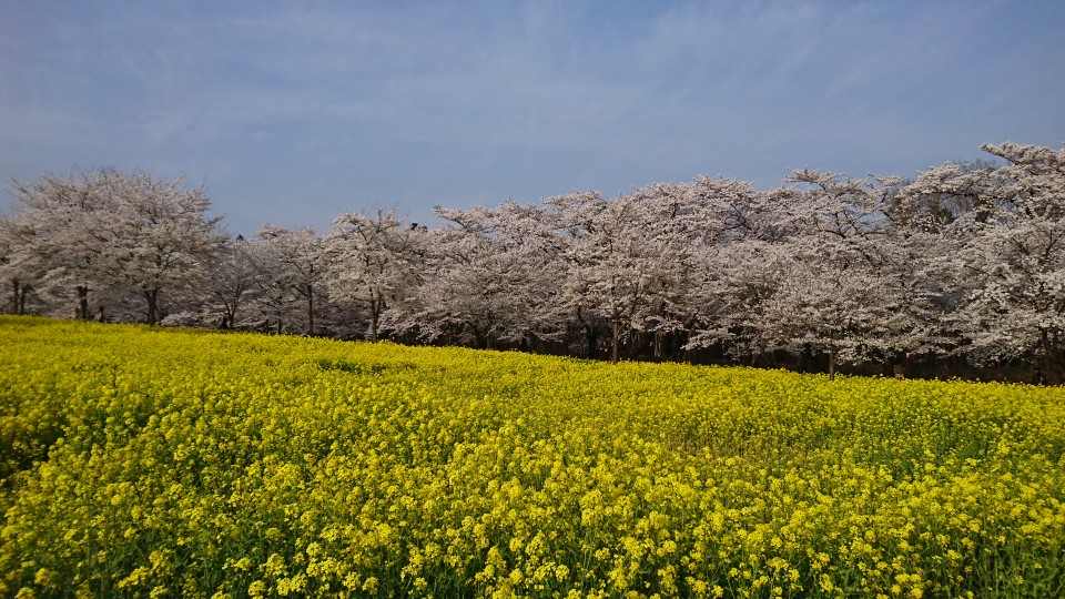 赤城