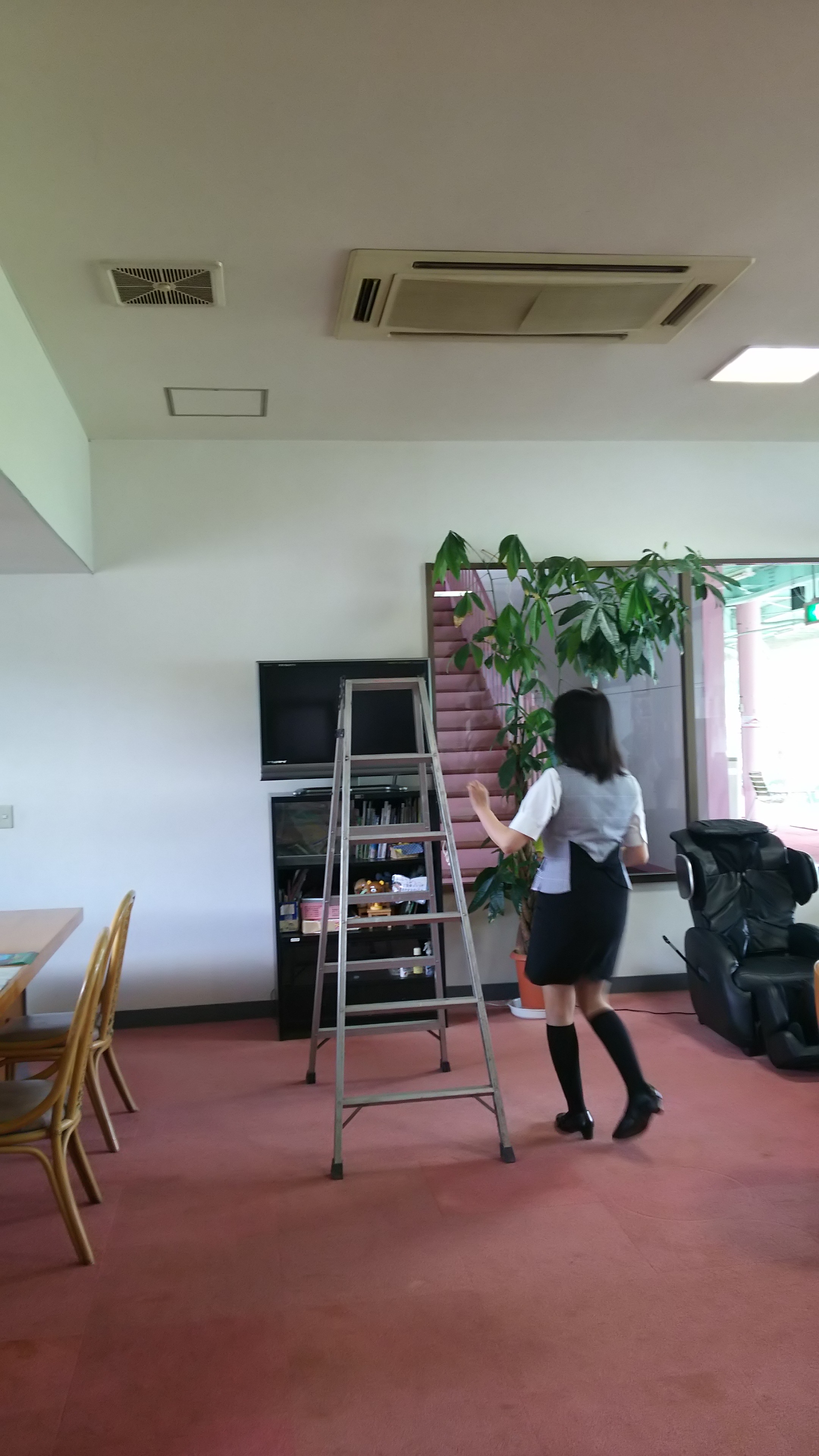 掃除