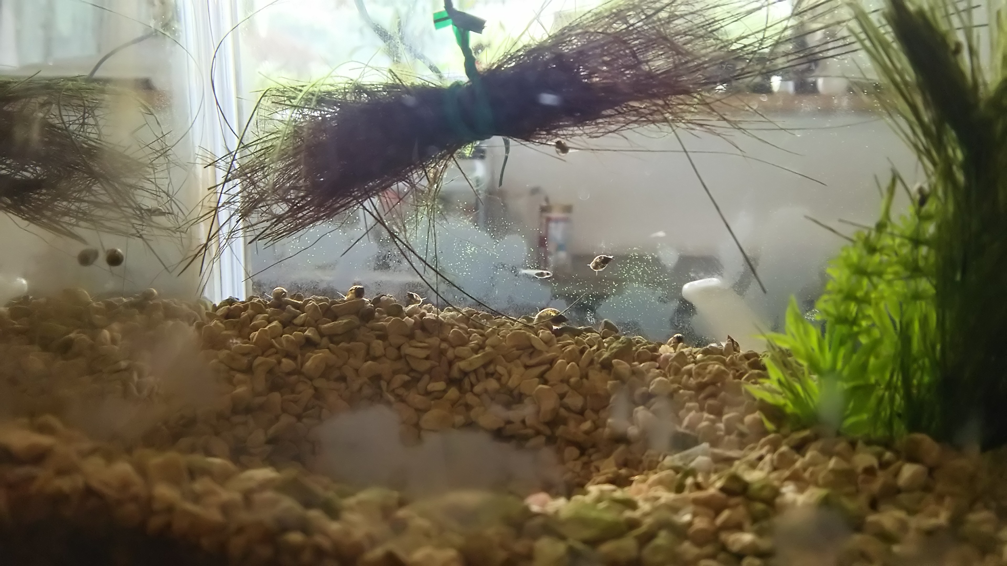 あかちゃん