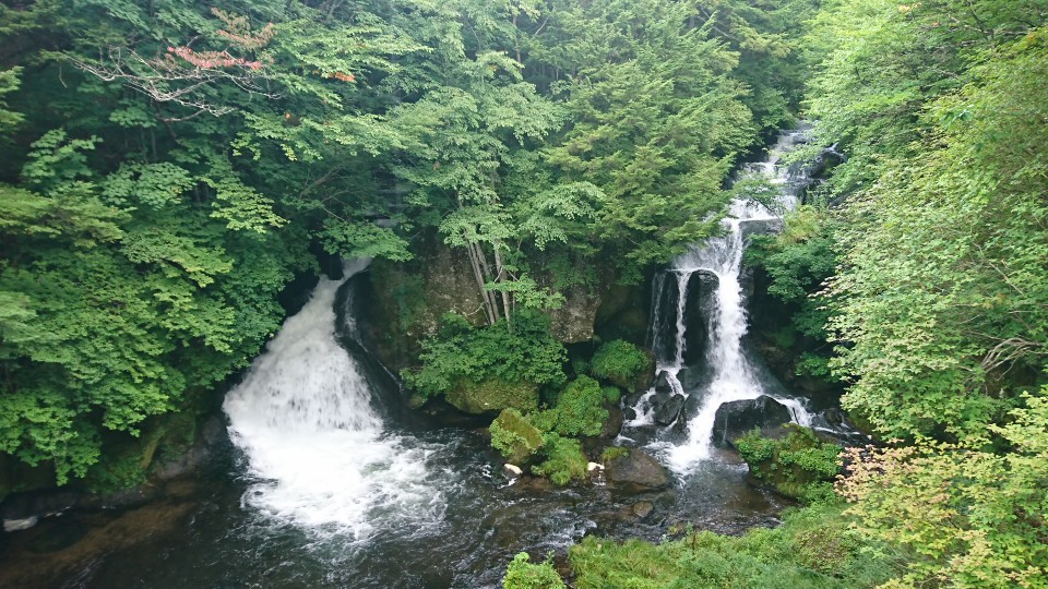蒸し暑さ復活…