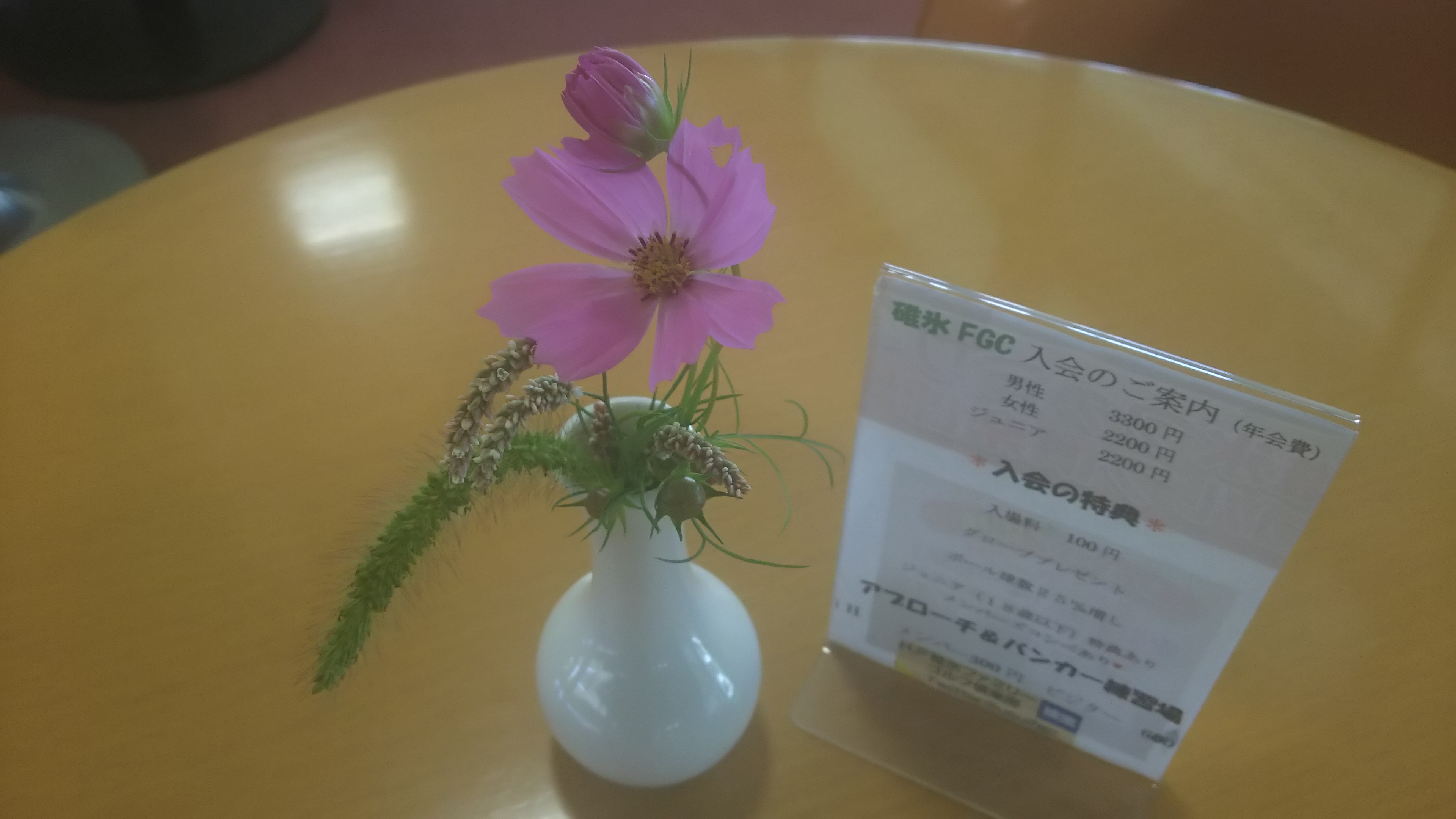２０日(木)は午前８時より営業